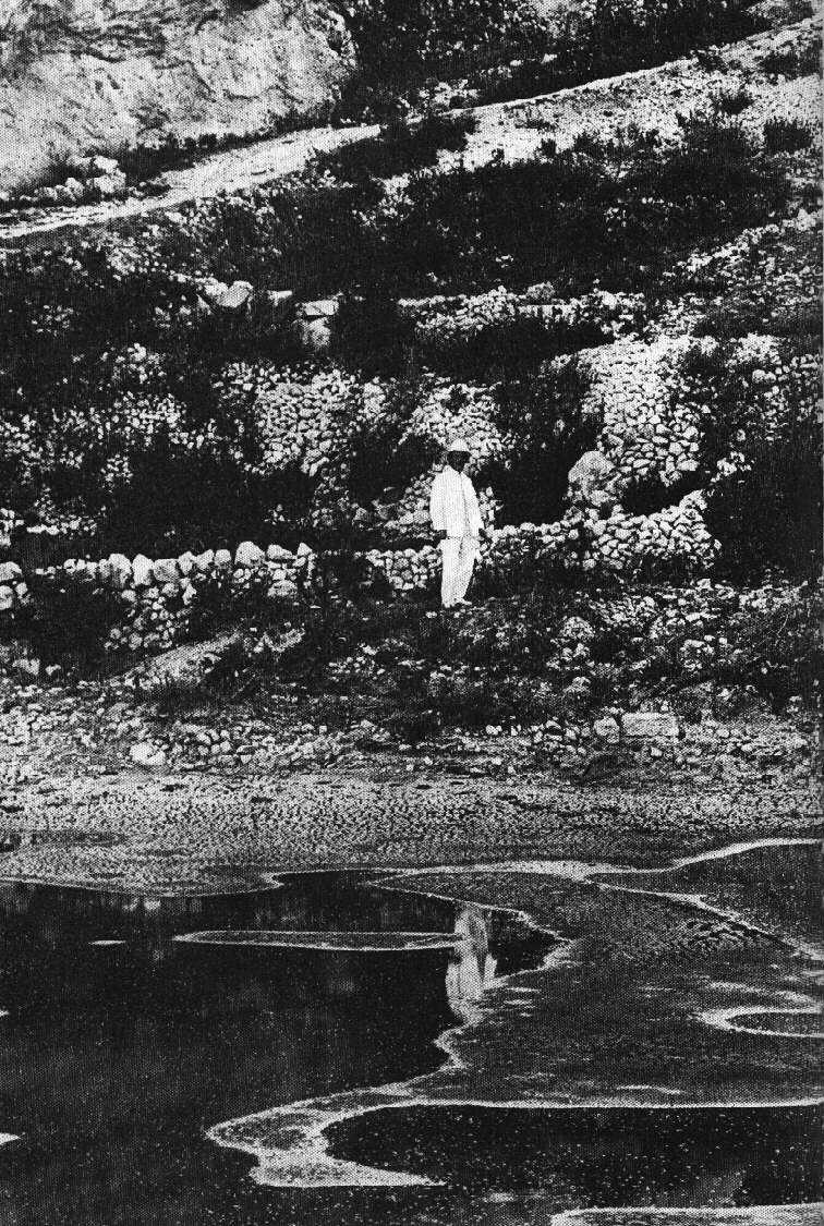 KM Siloah Jerusalem.jpg