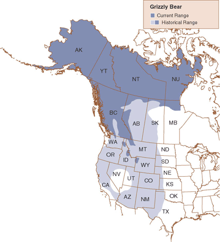 Grizzly map.gif