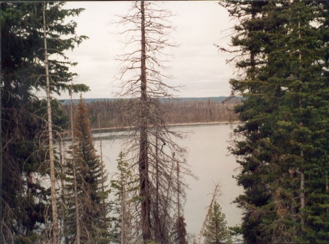 Lake Yellowstone1.jpg