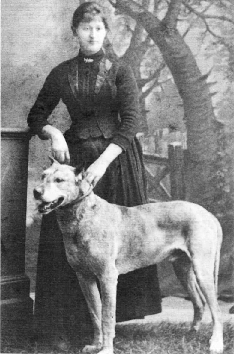 Babette Hohl Dogge.jpg