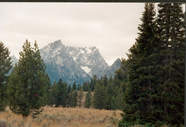 Teton1.jpg