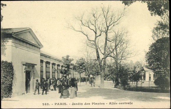 AK Paris Jardin des plantes.jpg