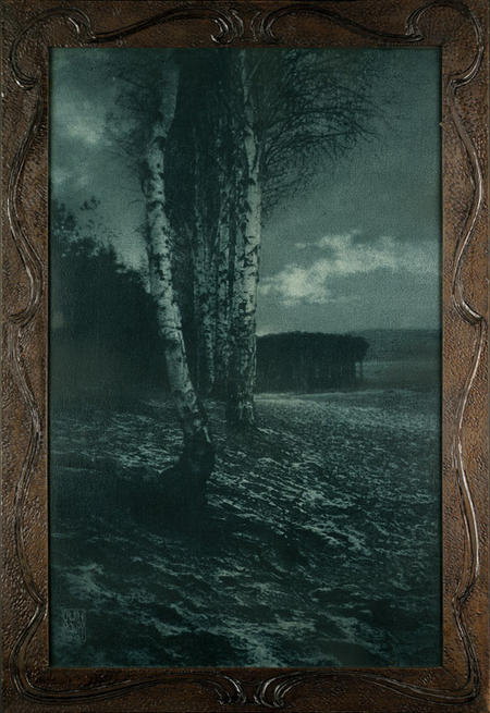 Erwin Raupp Landschaft mit Birken.jpg